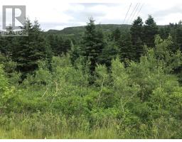 0 Snows Lane Road, North River, Newfoundland & Labrador
