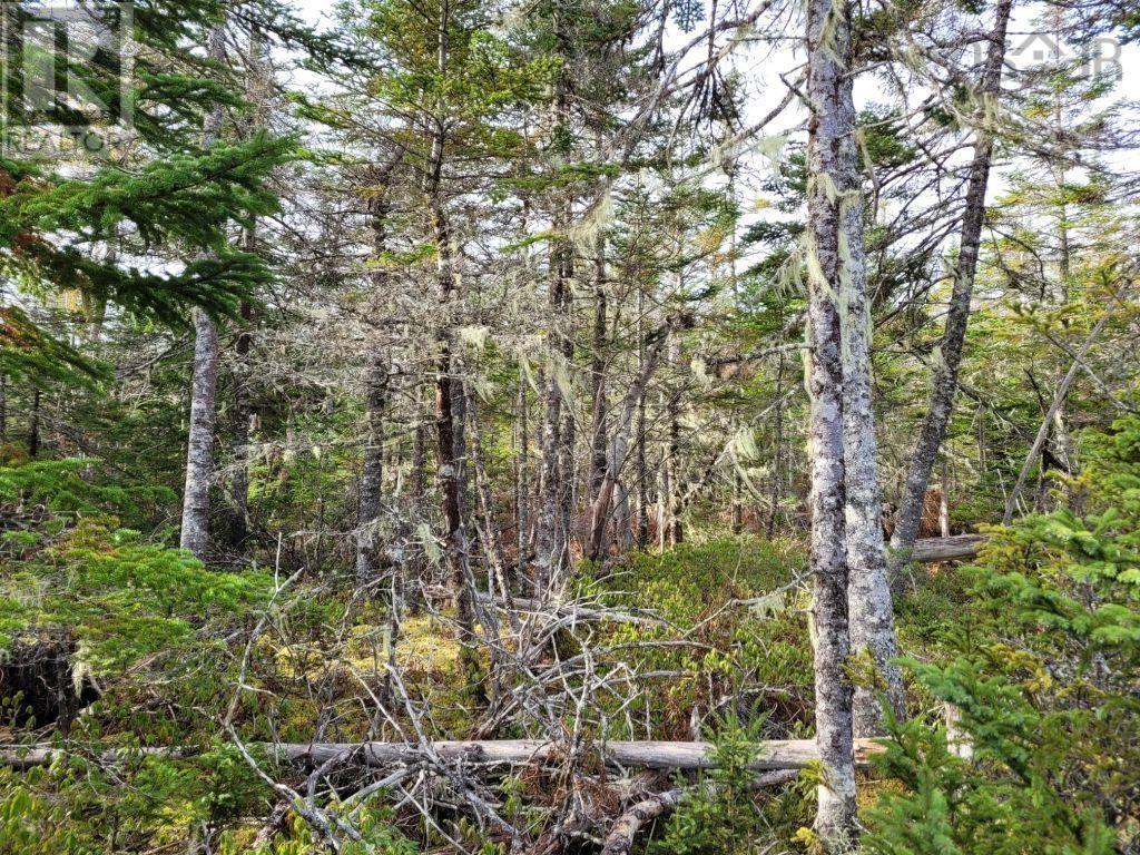Lot 3a Sandy Lane, Porters Lake, Nova Scotia  B3E 1N6 - Photo 10 - 202225641