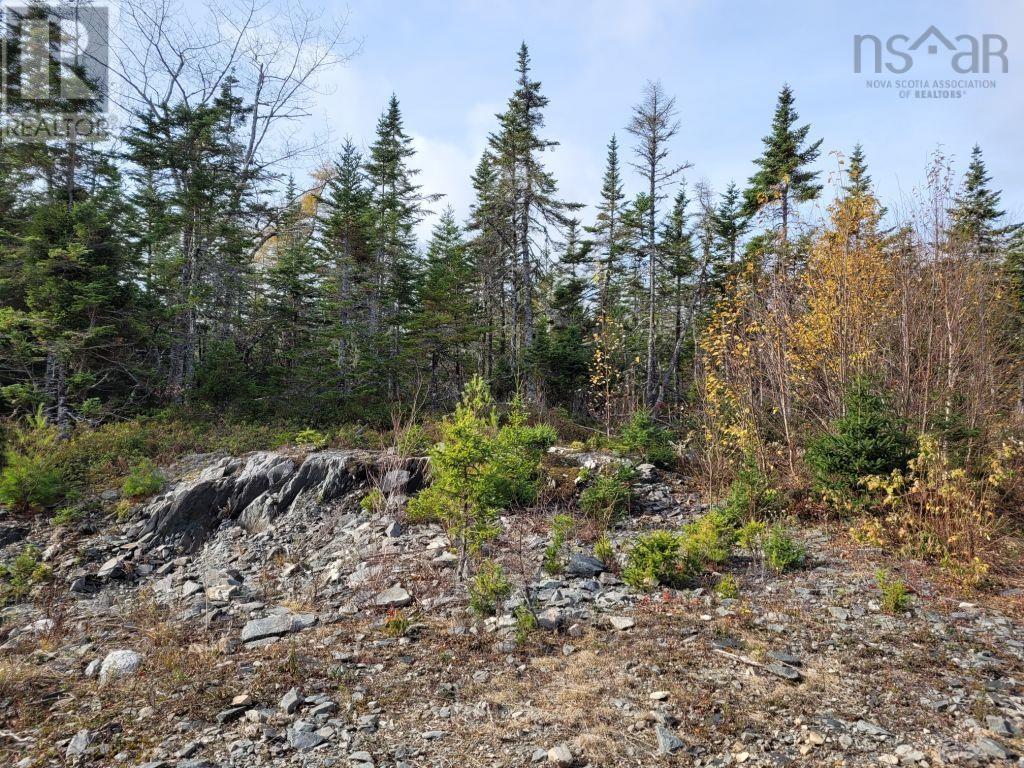 Lot 3a Sandy Lane, Porters Lake, Nova Scotia  B3E 1N6 - Photo 11 - 202225641