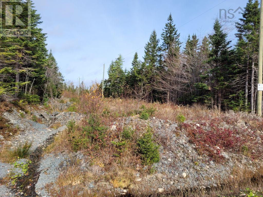 Lot 3a Sandy Lane, Porters Lake, Nova Scotia  B3E 1N6 - Photo 4 - 202225641