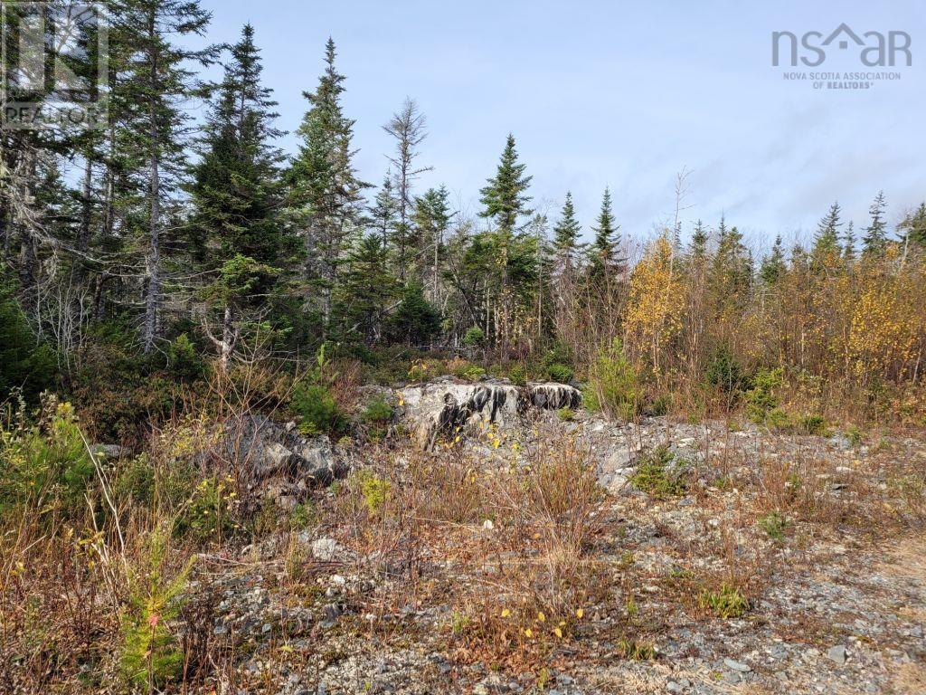 Lot 3a Sandy Lane, Porters Lake, Nova Scotia  B3E 1N6 - Photo 9 - 202225641