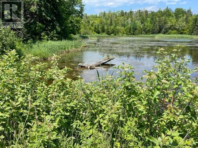 803 Orangedale-Iona Road, Gillis Cove, Nova Scotia  B0E 2K0 - Photo 20 - 202300084