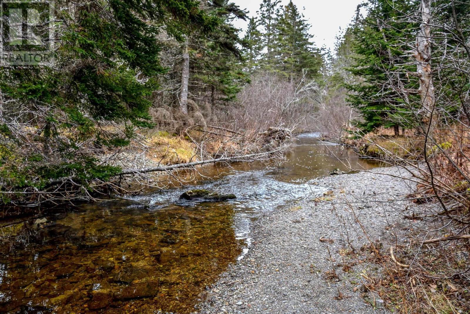281 Frank Macdonald Road, Grand River, Nova Scotia  B0E 1M0 - Photo 19 - 202300294