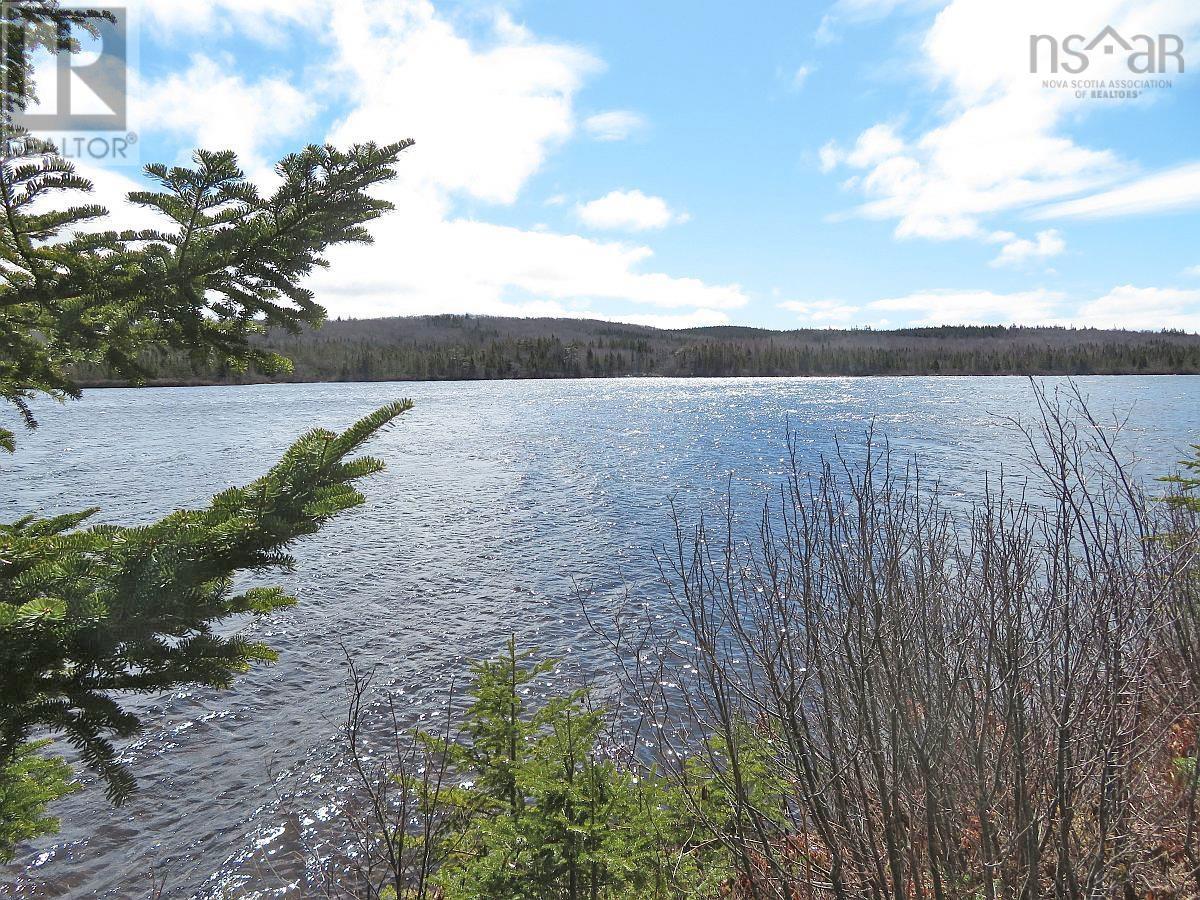 Bengal Road, Albert Bridge, Nova Scotia  B1K 2J5 - Photo 10 - 202300714