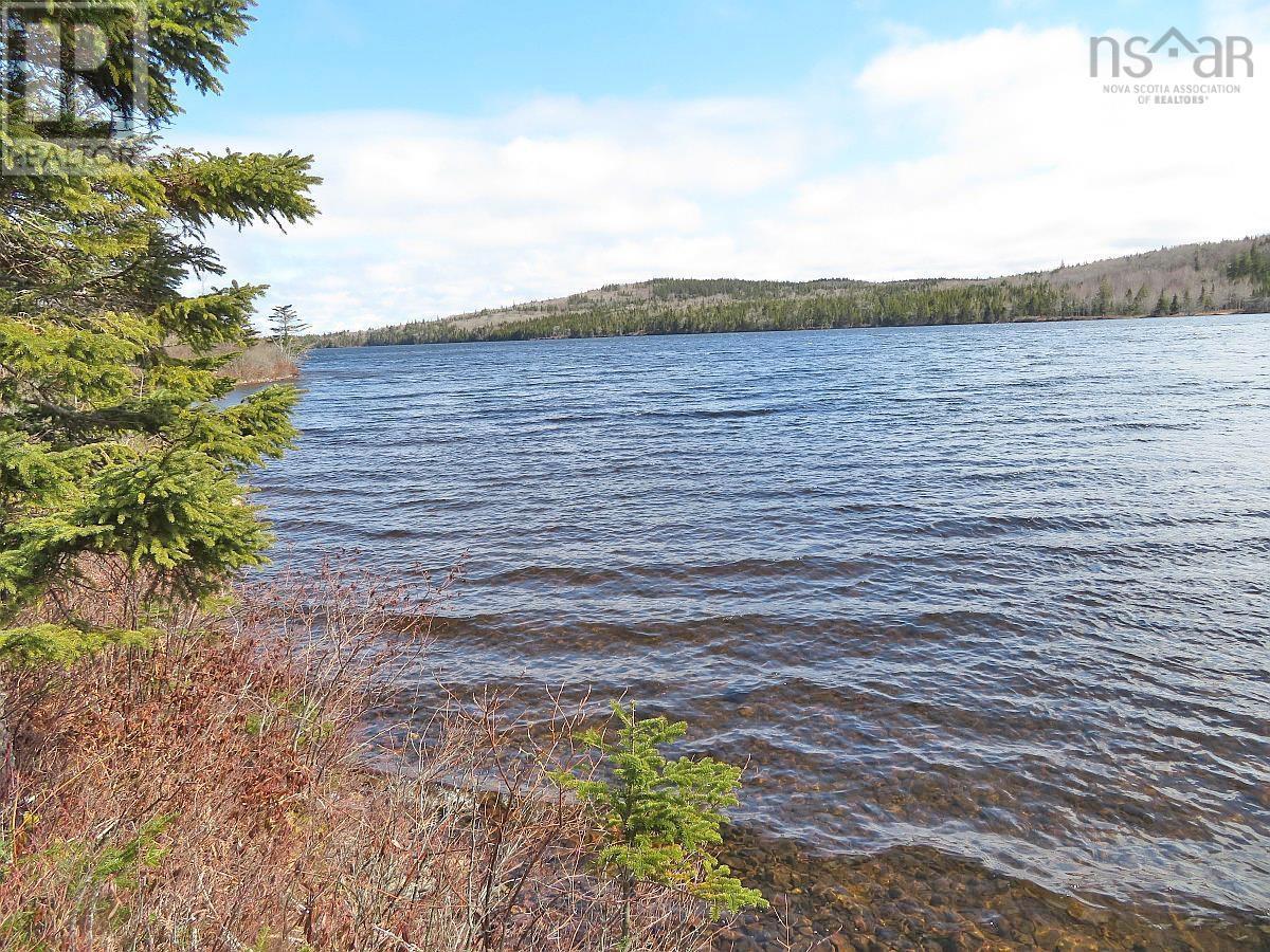 Bengal Road, Albert Bridge, Nova Scotia  B1K 2J5 - Photo 12 - 202300714