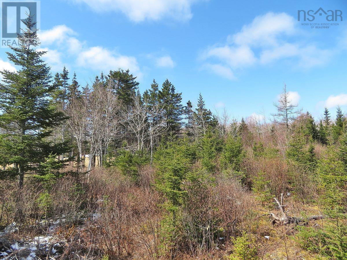 Bengal Road, Albert Bridge, Nova Scotia  B1K 2J5 - Photo 14 - 202300714