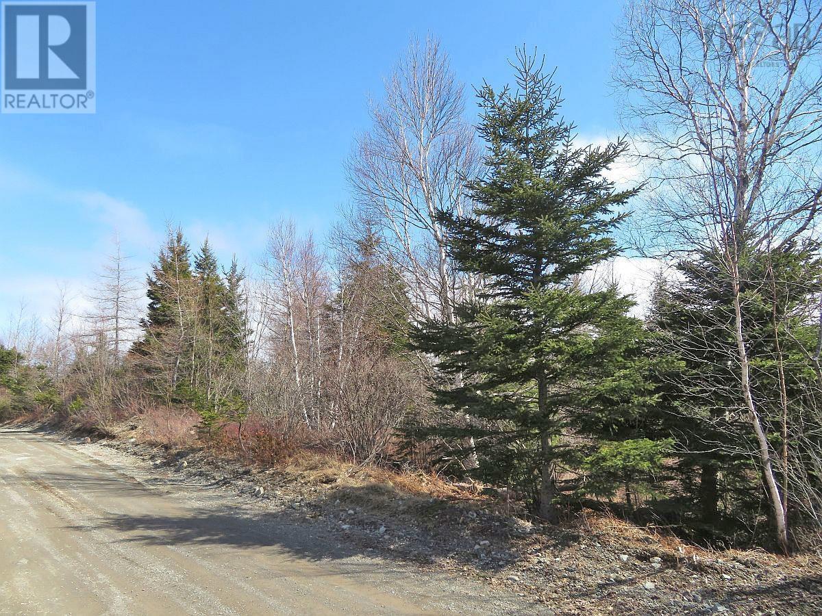 Bengal Road, Albert Bridge, Nova Scotia  B1K 2J5 - Photo 15 - 202300714