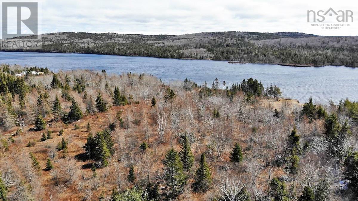 Bengal Road, Albert Bridge, Nova Scotia  B1K 2J5 - Photo 17 - 202300714
