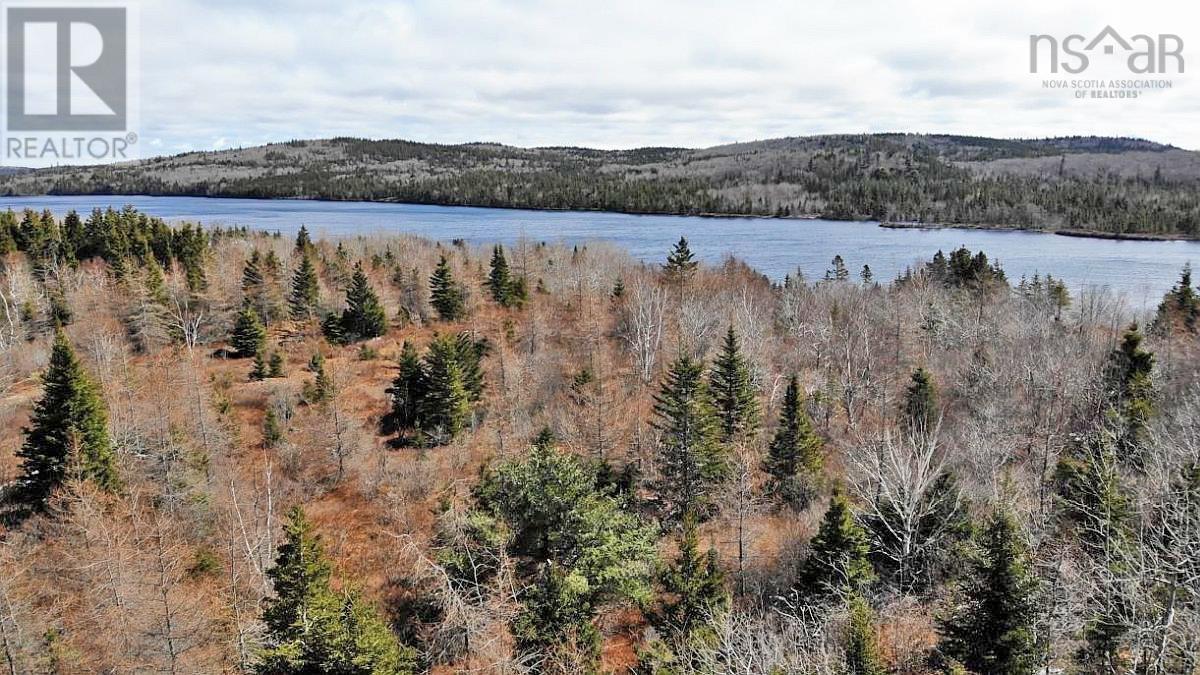 Bengal Road, Albert Bridge, Nova Scotia  B1K 2J5 - Photo 18 - 202300714
