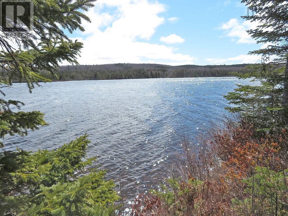 Bengal Road, Albert Bridge, Nova Scotia  B1K 2J5 - Photo 8 - 202300714