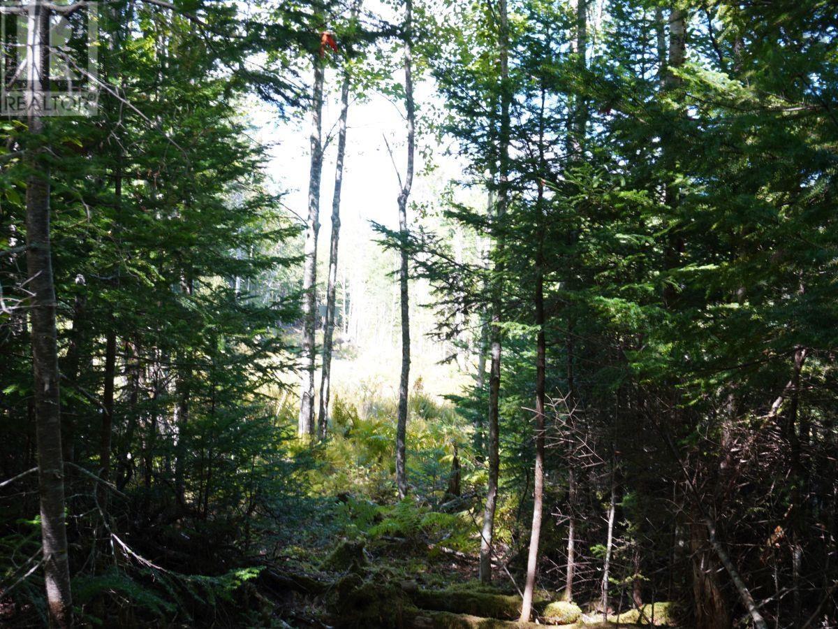 Lorem Ipsum Dolor Sit Am, West Bay Marshes, Nova Scotia  B0E  - Photo 14 - DEMO25193326