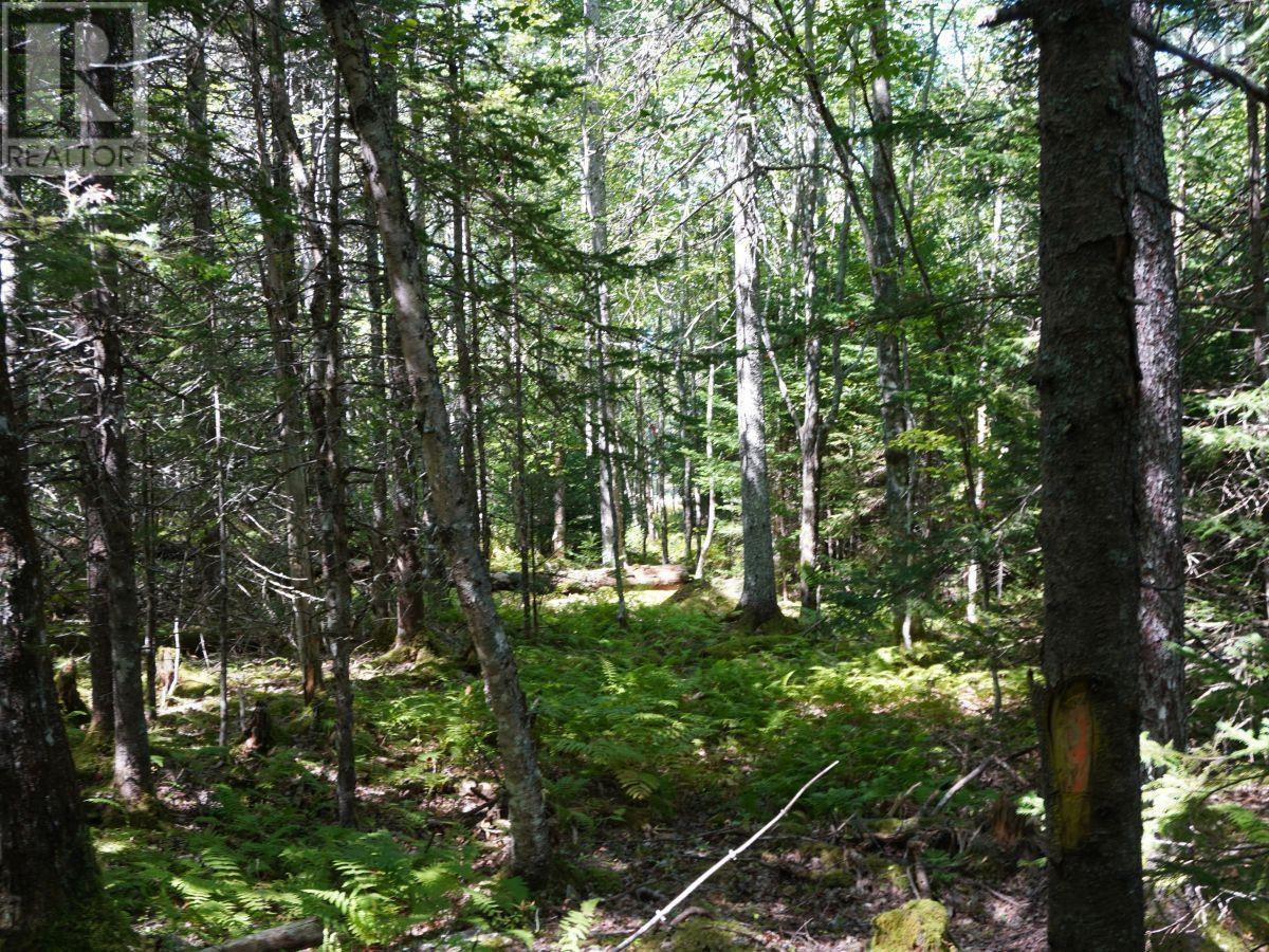Lorem Ipsum Dolor Sit Am, West Bay Marshes, Nova Scotia  B0E  - Photo 16 - DEMO25193326
