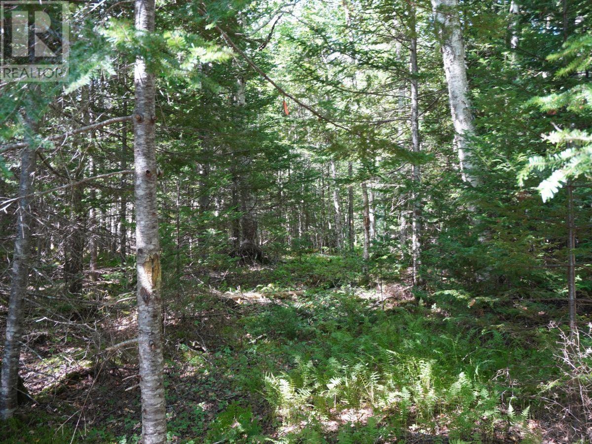 Lorem Ipsum Dolor Sit Am, West Bay Marshes, Nova Scotia  B0E  - Photo 17 - DEMO25193326