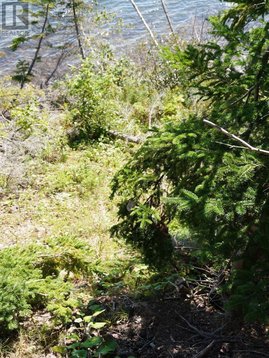 Lorem Ipsum Dolor Sit Am, West Bay Marshes, Nova Scotia  B0E  - Photo 21 - DEMO25193326