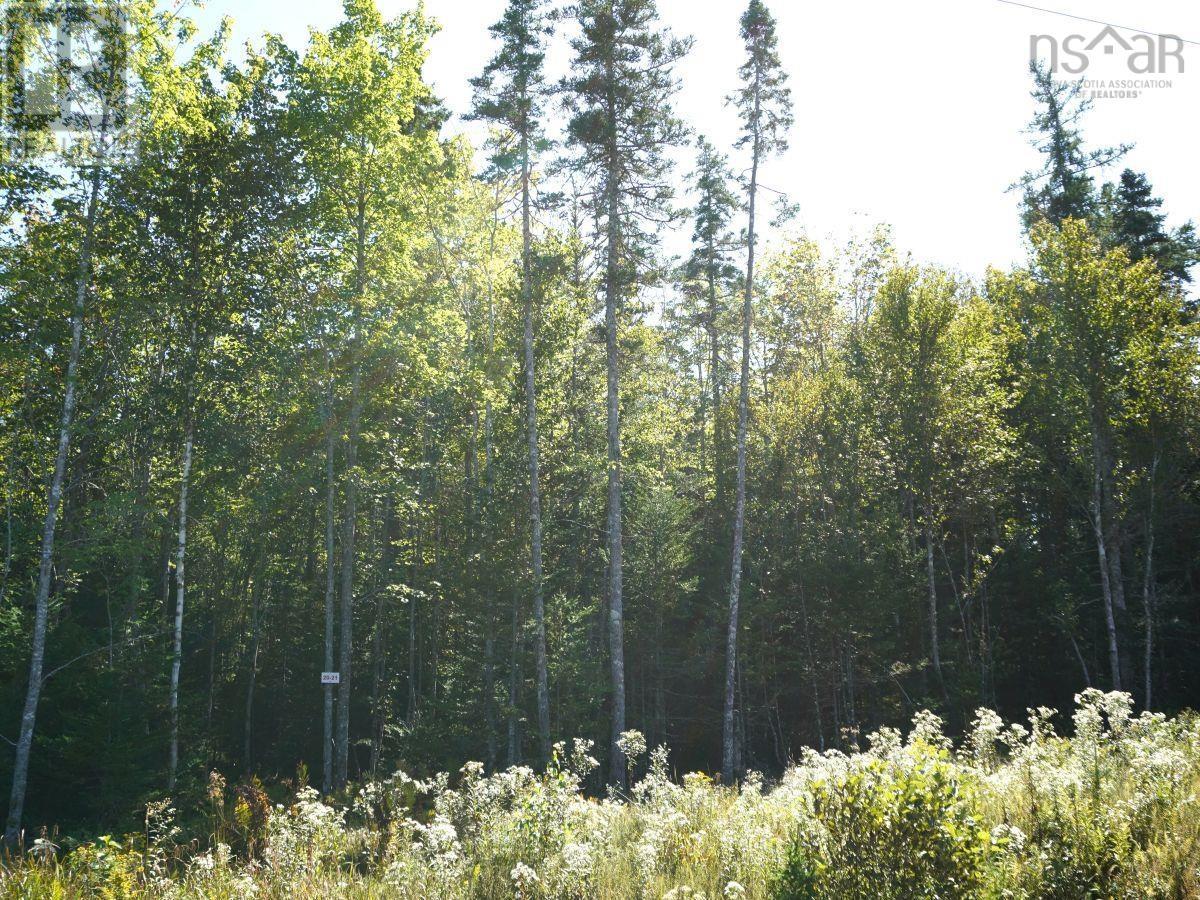 Lorem Ipsum Dolor Sit Am, West Bay Marshes, Nova Scotia  B0E  - Photo 32 - DEMO25193326