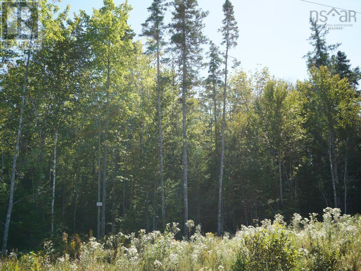 Lorem Ipsum Dolor Sit Am, West Bay Marshes, Nova Scotia  B0E  - Photo 33 - DEMO25193326