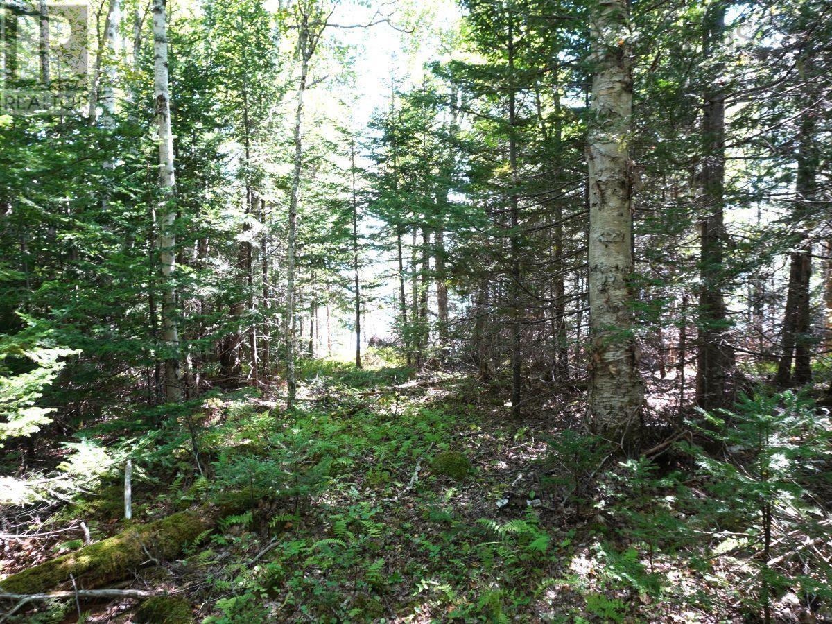Lorem Ipsum Dolor Sit Am, West Bay Marshes, Nova Scotia  B0E  - Photo 8 - DEMO25193326