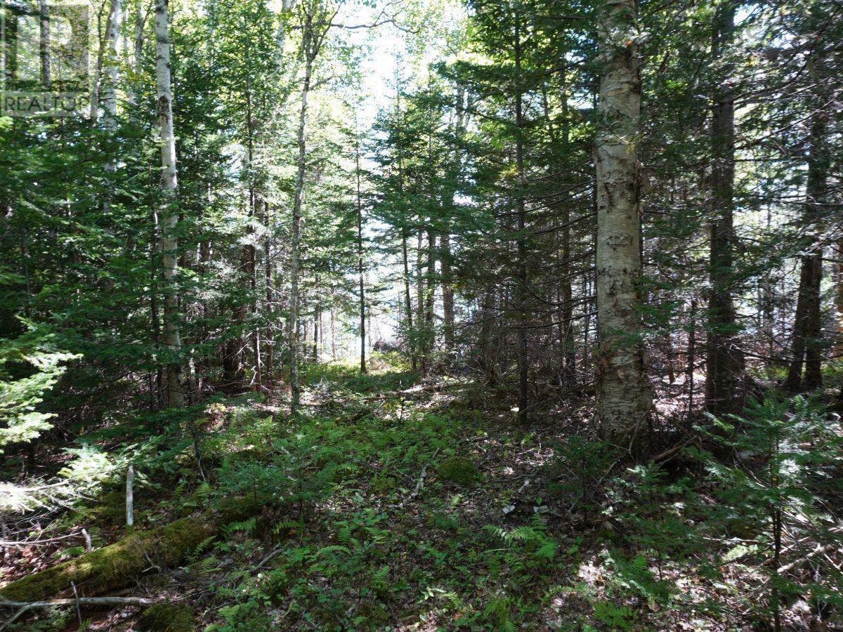 Lorem Ipsum Dolor Sit Am, West Bay Marshes, Nova Scotia  B0E  - Photo 9 - DEMO25193326
