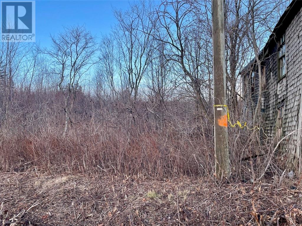 Lot Route 955, Bayfield, New Brunswick  E4M 3B6 - Photo 8 - M149704