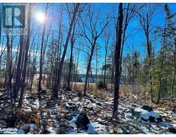 16392 HWY 35