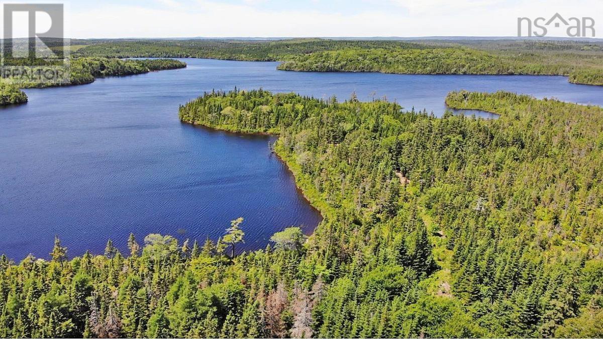 Lorem Ipsum Dolor Sit Am, French Road, Nova Scotia  B1K  - Photo 12 - DEMO25195439