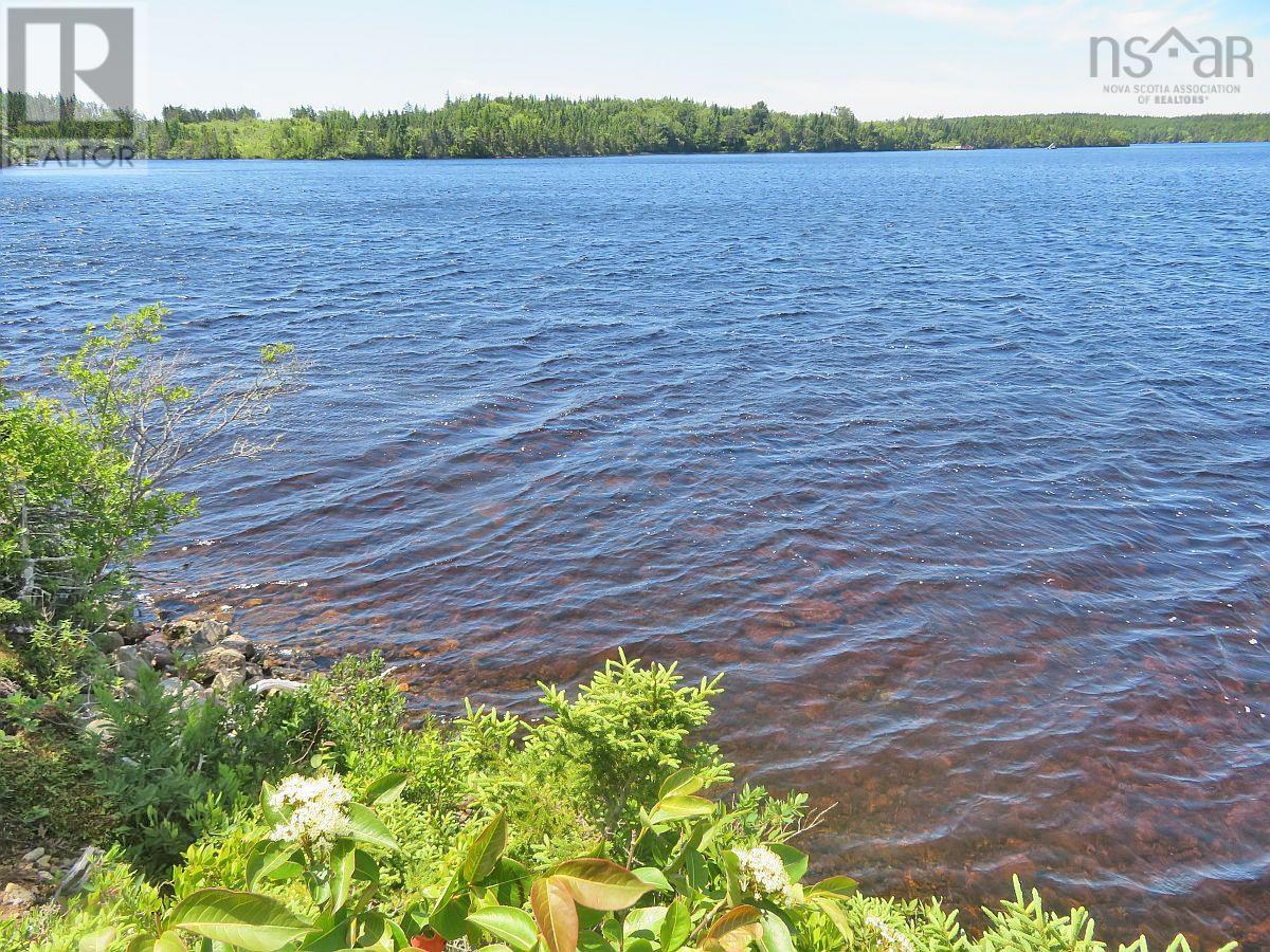 Lorem Ipsum Dolor Sit Am, French Road, Nova Scotia  B1K  - Photo 14 - DEMO25195439