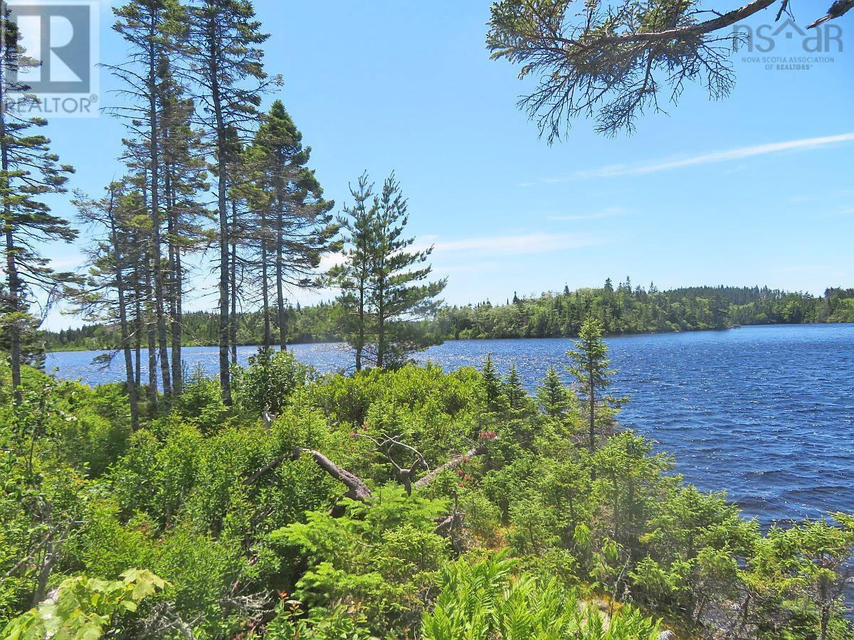 Lorem Ipsum Dolor Sit Am, French Road, Nova Scotia  B1K  - Photo 15 - DEMO25195439
