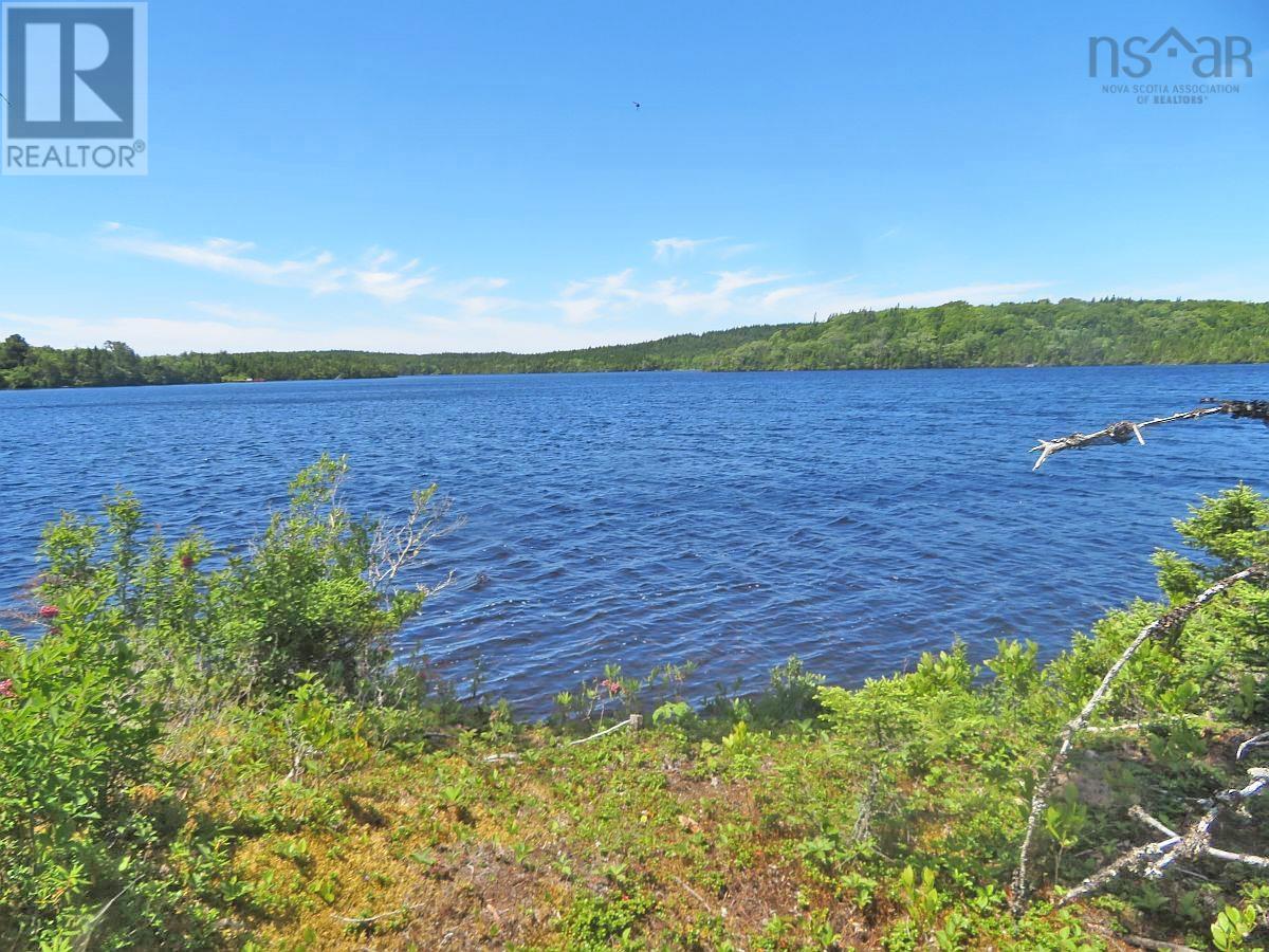 Lorem Ipsum Dolor Sit Am, French Road, Nova Scotia  B1K  - Photo 16 - DEMO25195439