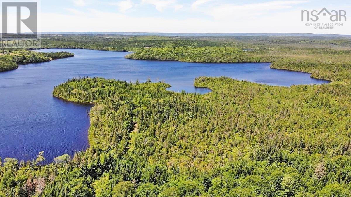 Lorem Ipsum Dolor Sit Am, French Road, Nova Scotia  B1K  - Photo 2 - DEMO25195439