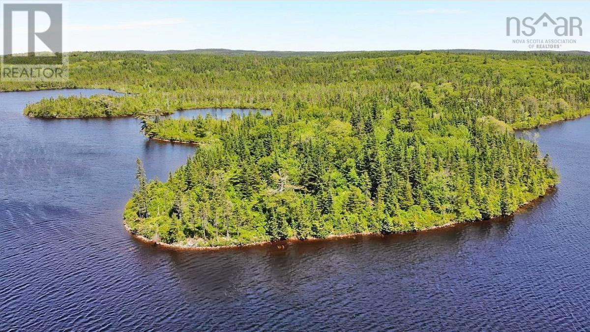 Lorem Ipsum Dolor Sit Am, French Road, Nova Scotia  B1K  - Photo 4 - DEMO25195439