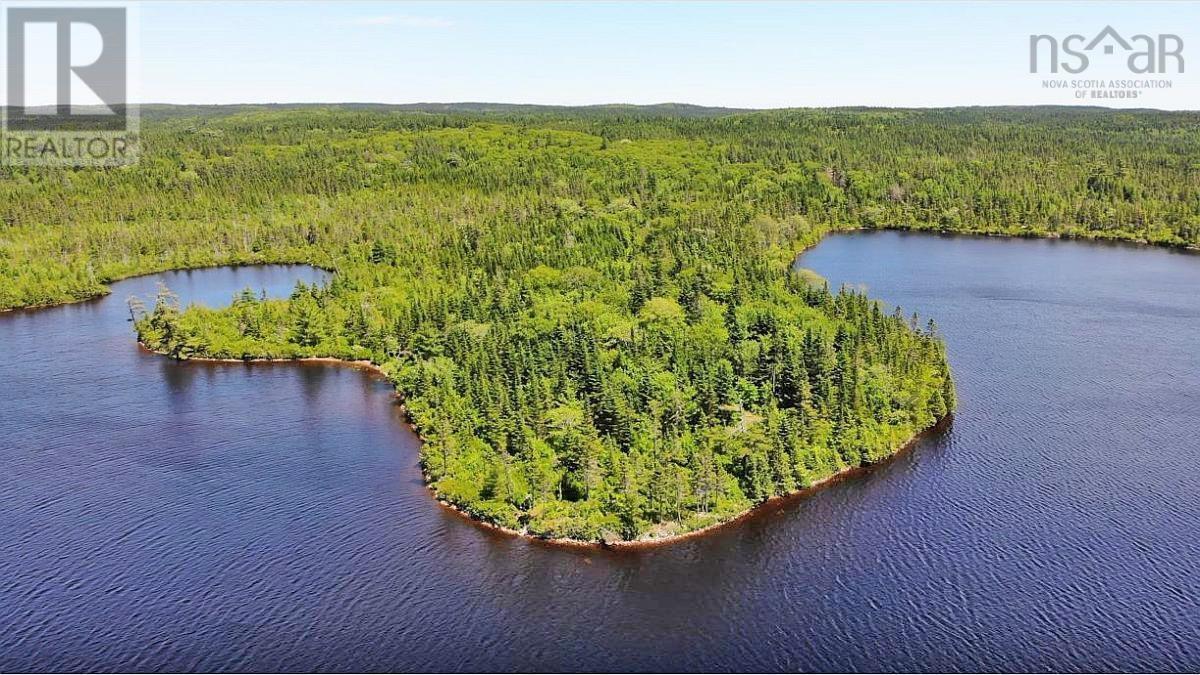 Lorem Ipsum Dolor Sit Am, French Road, Nova Scotia  B1K  - Photo 5 - DEMO25195439