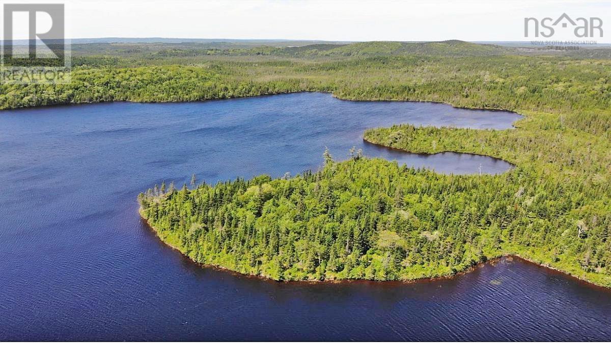Lorem Ipsum Dolor Sit Am, French Road, Nova Scotia  B1K  - Photo 6 - DEMO25195439