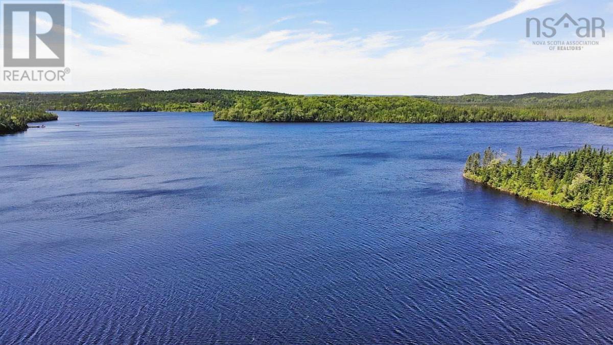 Lorem Ipsum Dolor Sit Am, French Road, Nova Scotia  B1K  - Photo 8 - DEMO25195439
