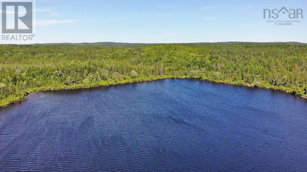 Lorem Ipsum Dolor Sit Am, French Road, Nova Scotia  B1K  - Photo 9 - DEMO25195439