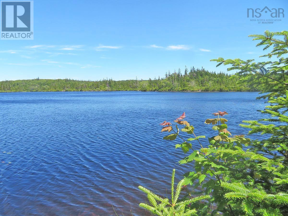 Lorem Ipsum Dolor Si, French Road, Nova Scotia  B1K  - Photo 11 - DEMO25195495