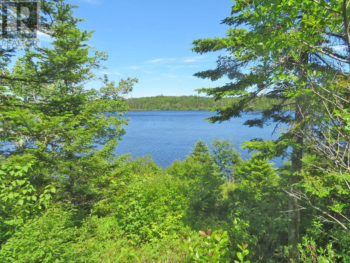 Lorem Ipsum Dolor Si, French Road, Nova Scotia  B1K  - Photo 12 - DEMO25195495