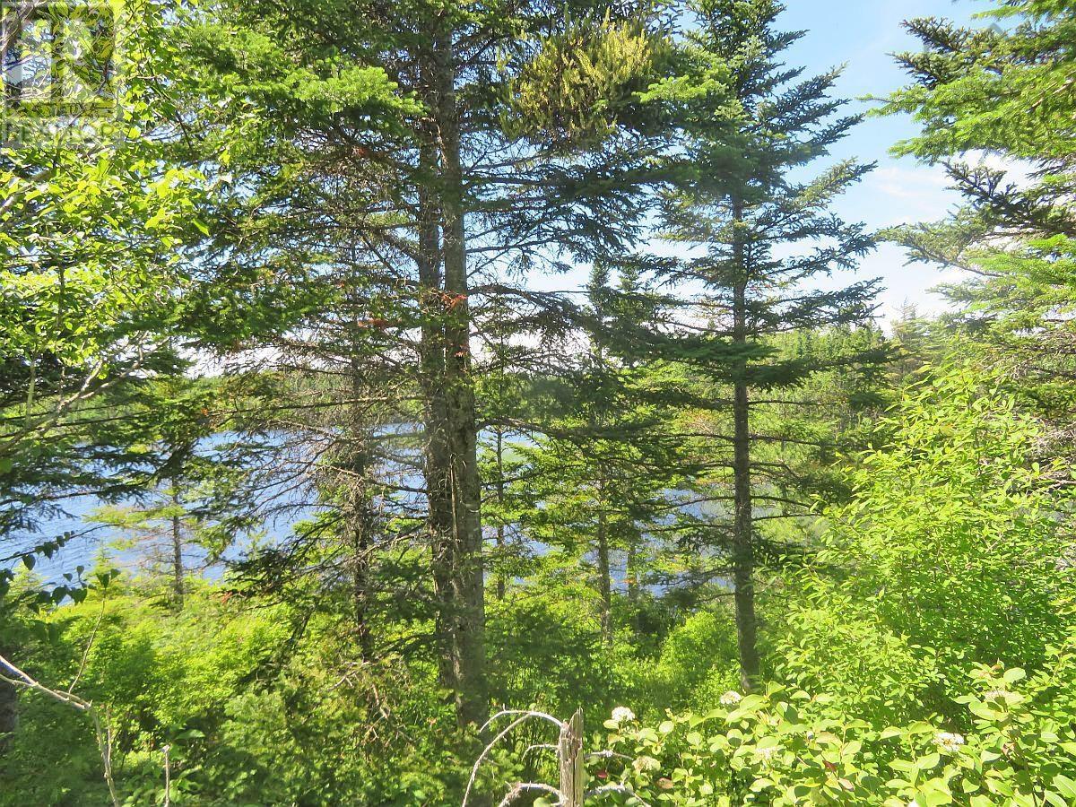 Lorem Ipsum Dolor Si, French Road, Nova Scotia  B1K  - Photo 13 - DEMO25195495