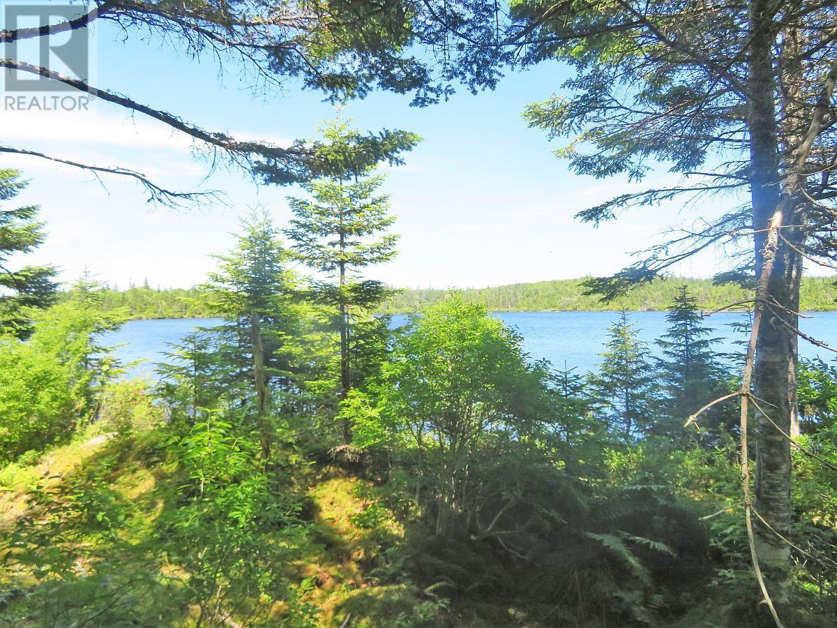 Lorem Ipsum Dolor Si, French Road, Nova Scotia  B1K  - Photo 14 - DEMO25195495