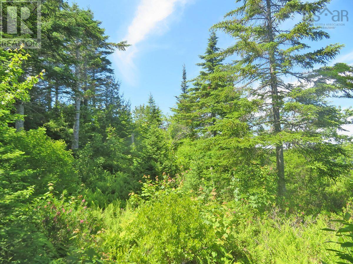 Lorem Ipsum Dolor Si, French Road, Nova Scotia  B1K  - Photo 15 - DEMO25195495