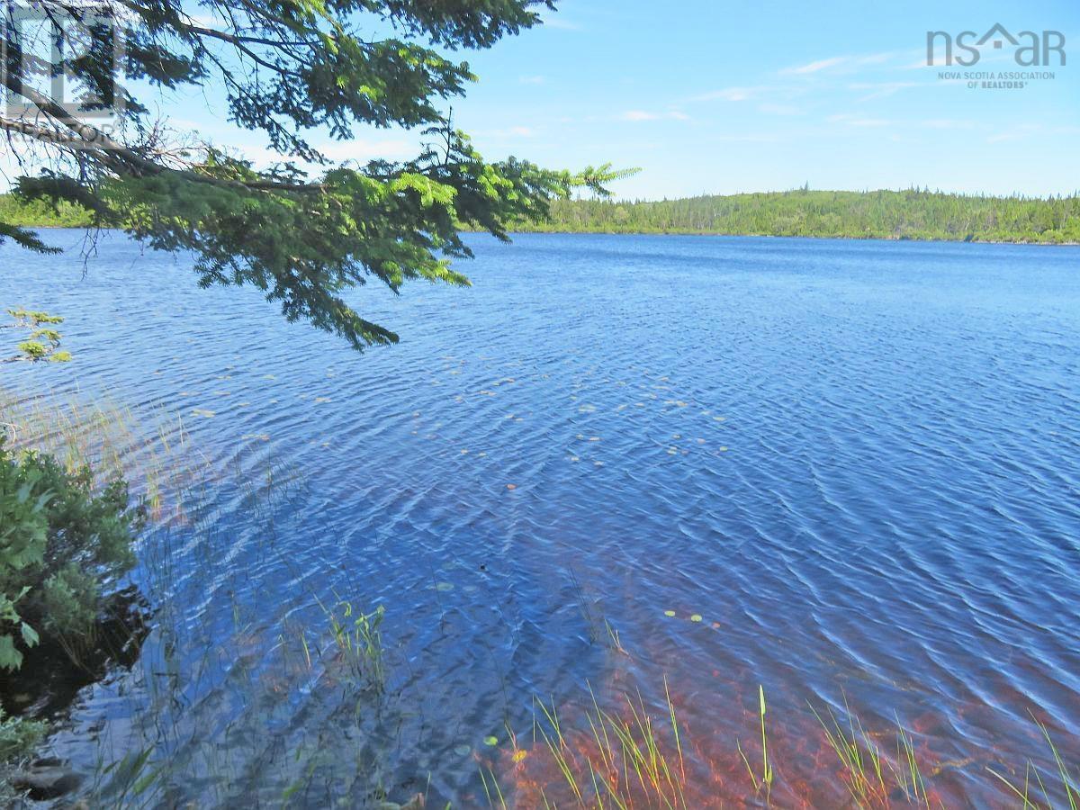 Lorem Ipsum Dolor Si, French Road, Nova Scotia  B1K  - Photo 16 - DEMO25195495