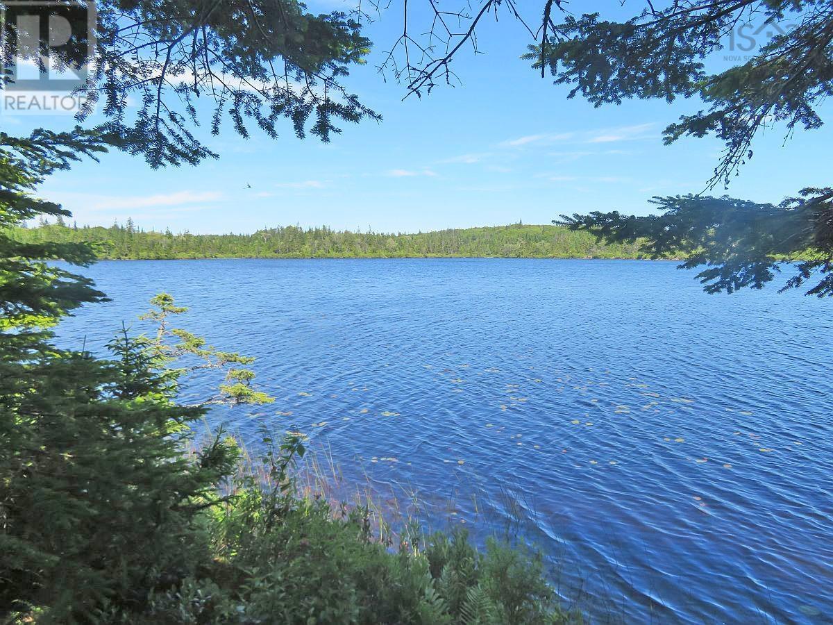 Lorem Ipsum Dolor Si, French Road, Nova Scotia  B1K  - Photo 17 - DEMO25195495