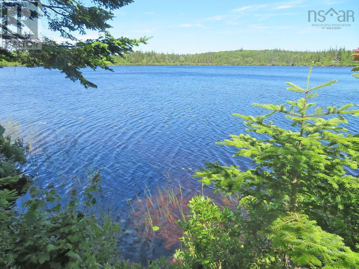 Lorem Ipsum Dolor Si, French Road, Nova Scotia  B1K  - Photo 2 - DEMO25195495