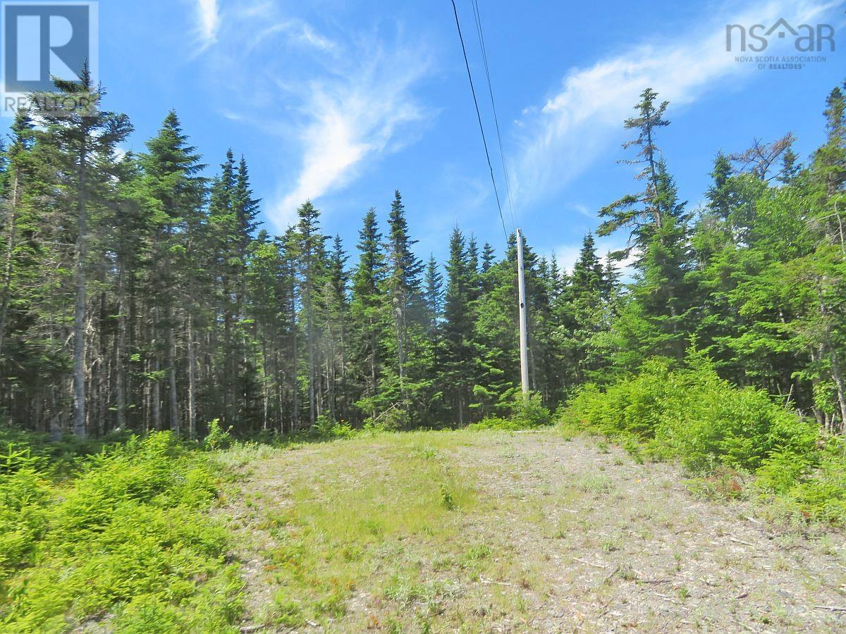 Lorem Ipsum Dolor Si, French Road, Nova Scotia  B1K  - Photo 20 - DEMO25195495