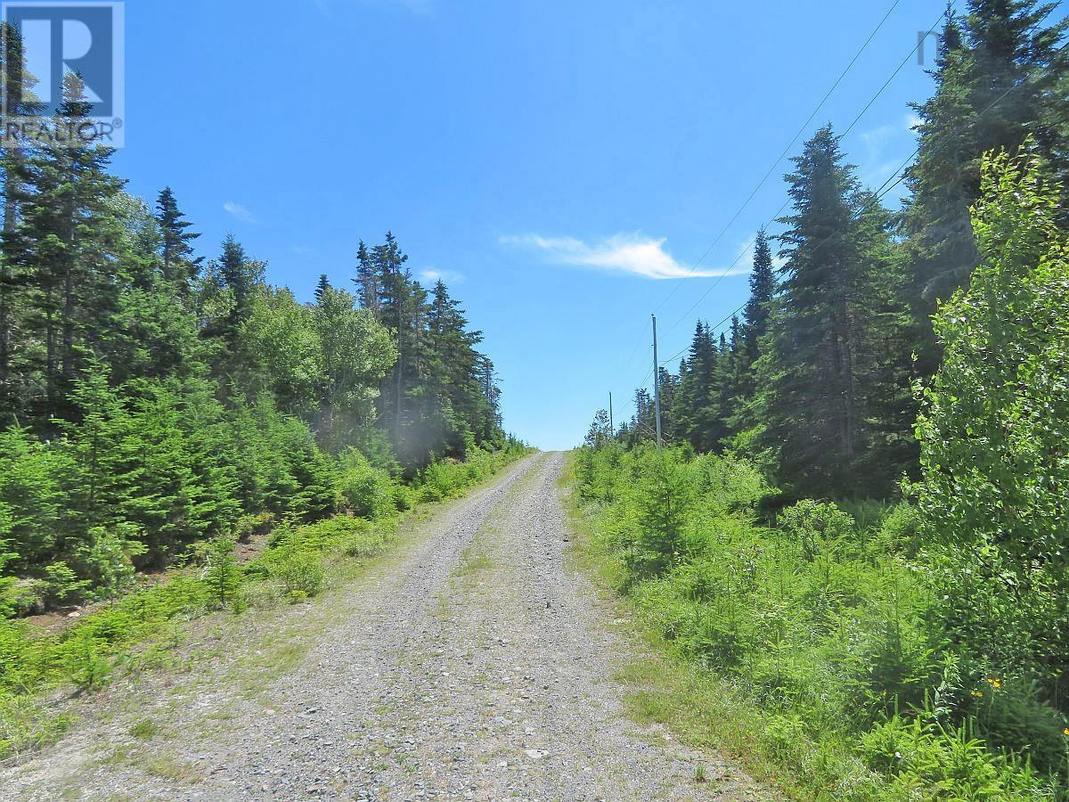 Lorem Ipsum Dolor Si, French Road, Nova Scotia  B1K  - Photo 21 - DEMO25195495