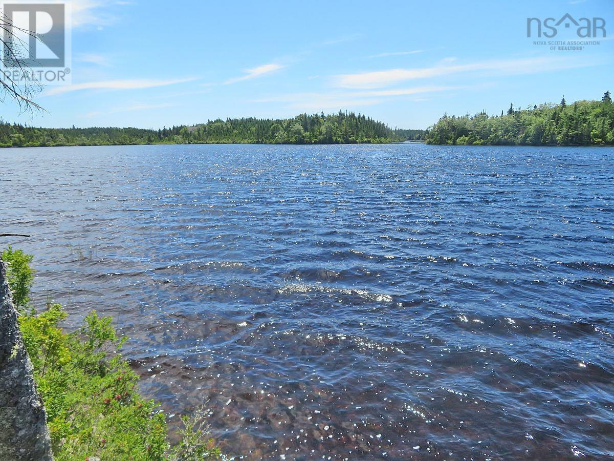 Lorem Ipsum Dolor Si, French Road, Nova Scotia  B1K  - Photo 22 - DEMO25195495
