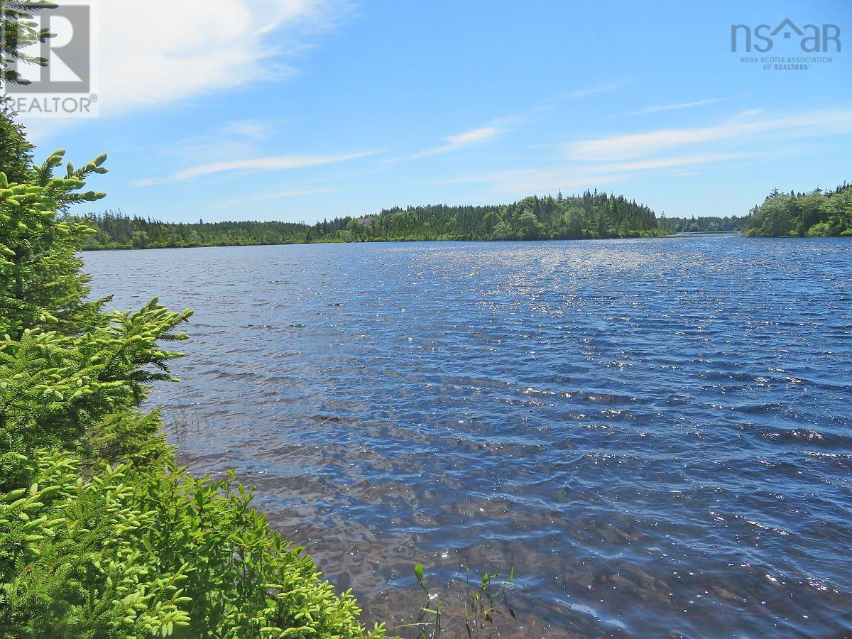 Lorem Ipsum Dolor Si, French Road, Nova Scotia  B1K  - Photo 24 - DEMO25195495