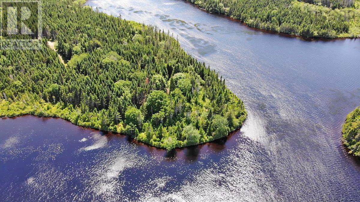 Lorem Ipsum Dolor Si, French Road, Nova Scotia  B1K  - Photo 6 - DEMO25195495