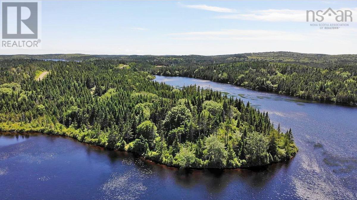 Lorem Ipsum Dolor Si, French Road, Nova Scotia  B1K  - Photo 7 - DEMO25195495