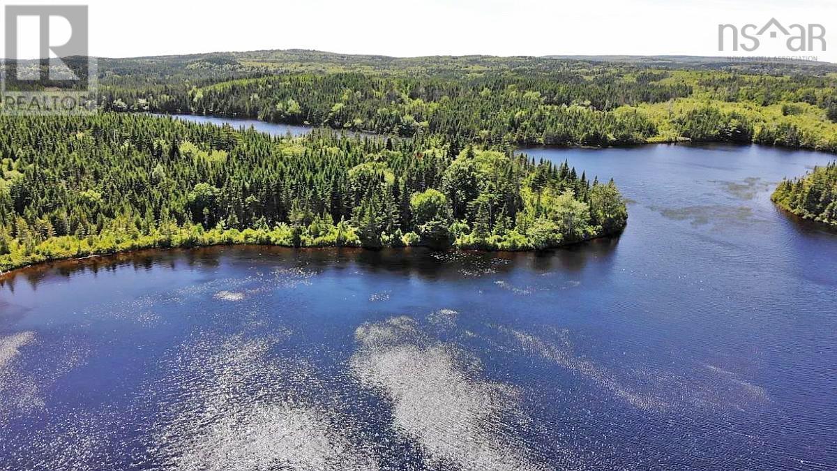 Lorem Ipsum Dolor Si, French Road, Nova Scotia  B1K  - Photo 9 - DEMO25195495