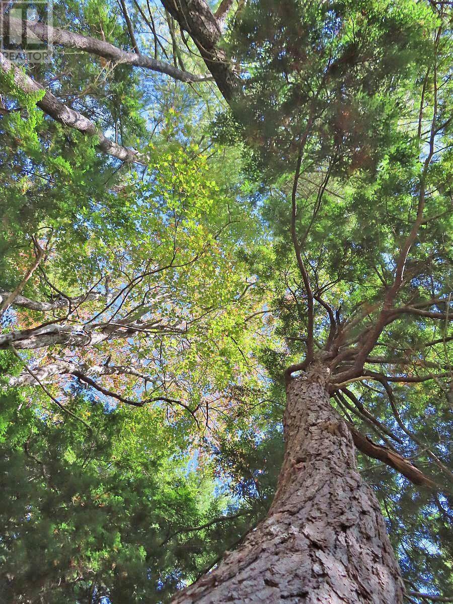 Lorem Ipsum Dolor Si, Malagawatch, Nova Scotia  B0E  - Photo 12 - DEMO25195563